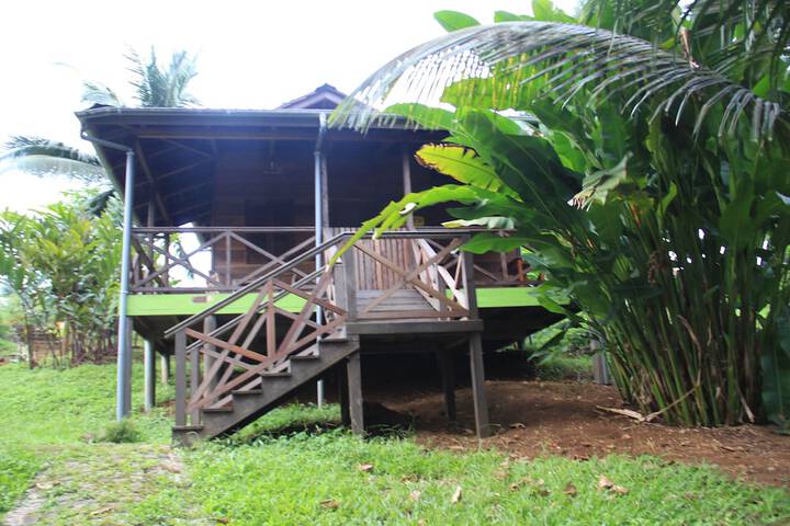 Room 4 of 39