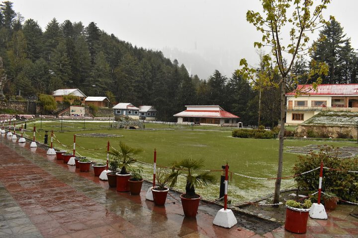 Pine Park Hotels & Resorts