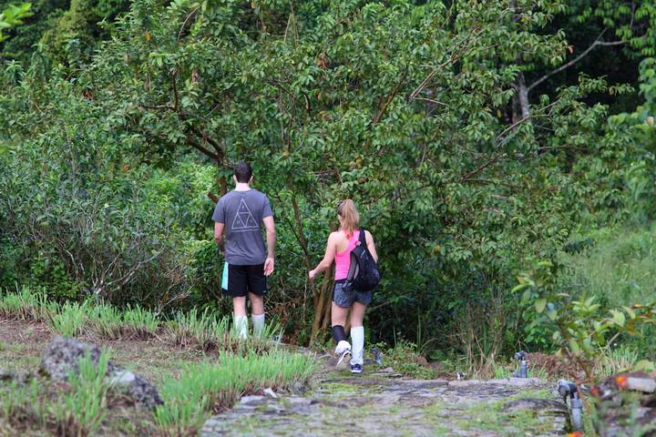 Hiking