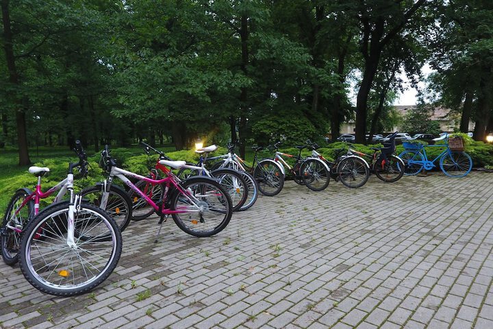 Outdoor Activities 21 of 37