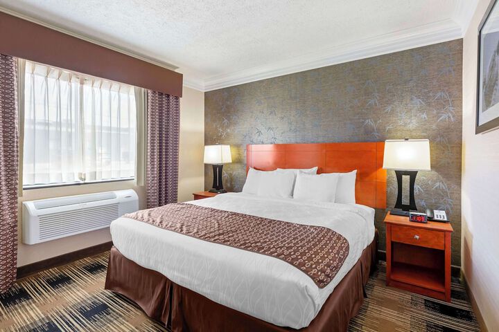 1 King Bed Table and Chairs Refrigerator, Continental Breakfast (11 of 14)