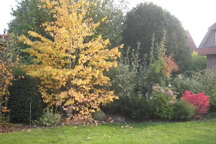 Property Grounds 42 of 51
