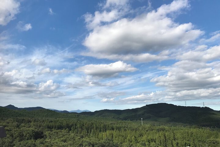 View from room
