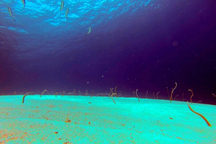 Beach 51 of 87