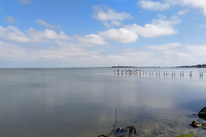 Beach 56 of 63