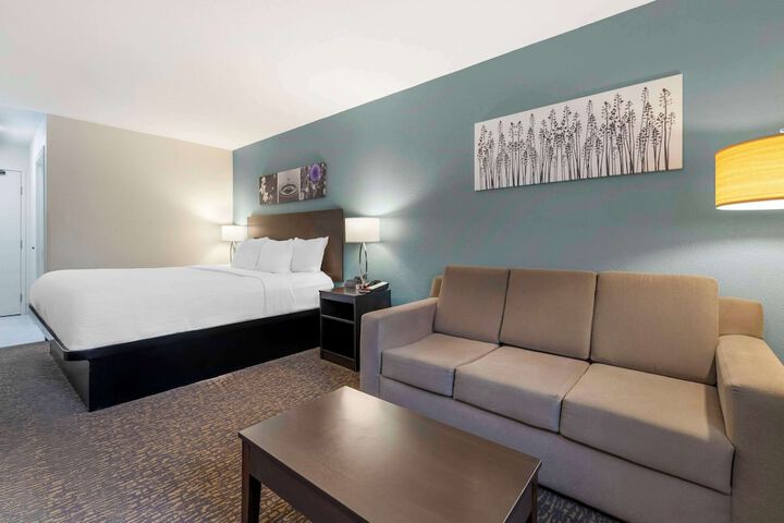 1 King Bed Suite (2 of 10)