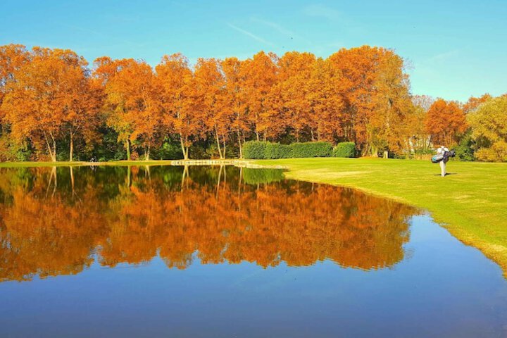 Golf 14 of 24