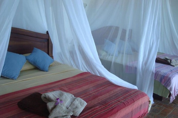 Room 5 of 61