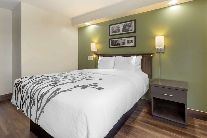 2 Queen Beds (8 of 15)