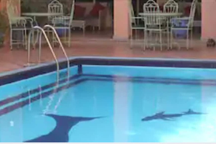 Pool Hotel