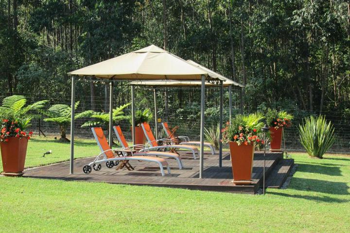 Spa and Wellness Pictures