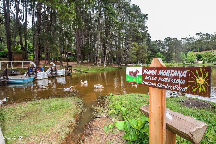 Hotel Fazenda Floresta Negra