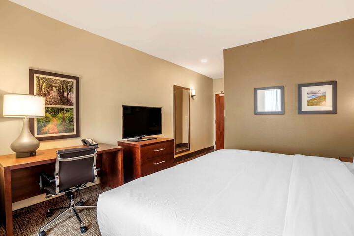 1 King Bed Accessible (5 of 13)