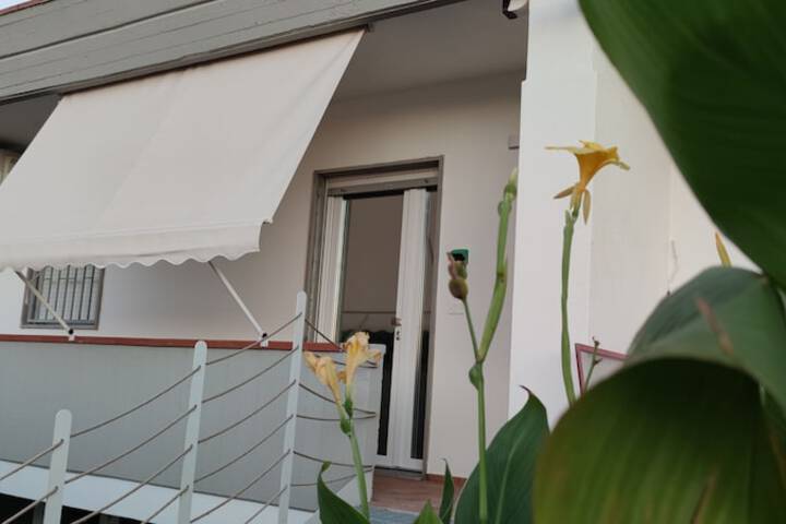 Terrace/Patio 27 of 127