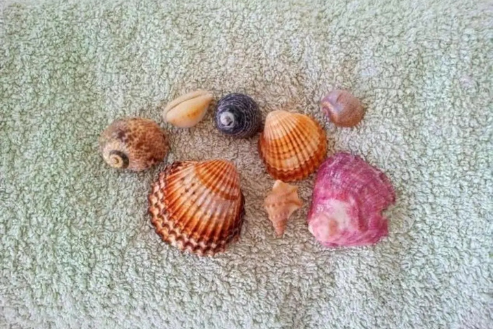 Beach 3 of 8
