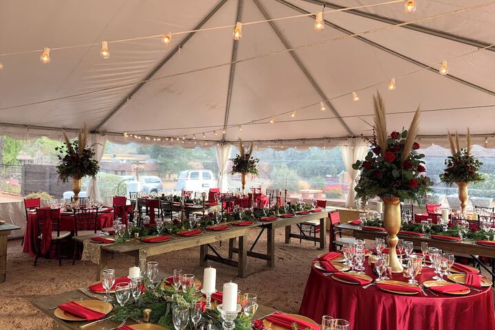 Outdoor wedding area