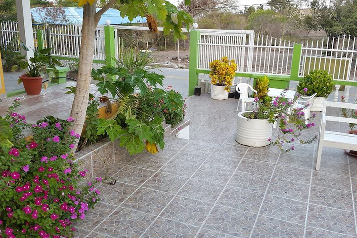 Terrace/Patio 30 of 32
