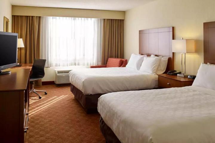 2 Double Beds Business Room (9 of 11)