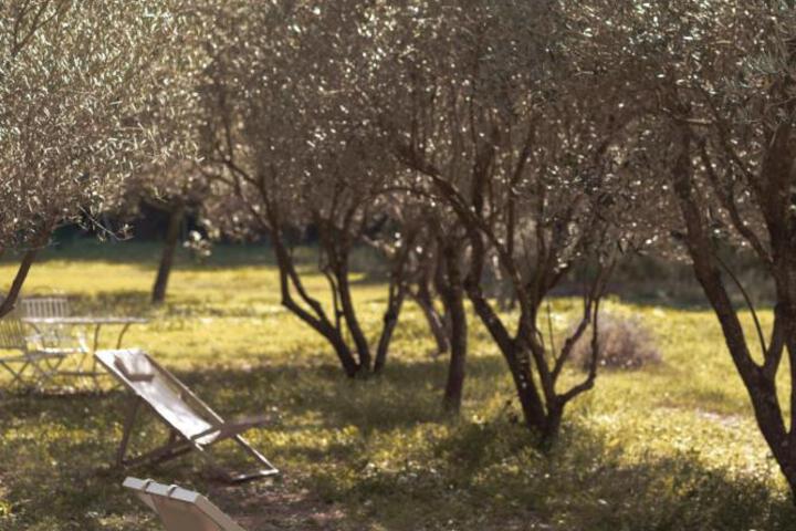 Fitness Facility Photos