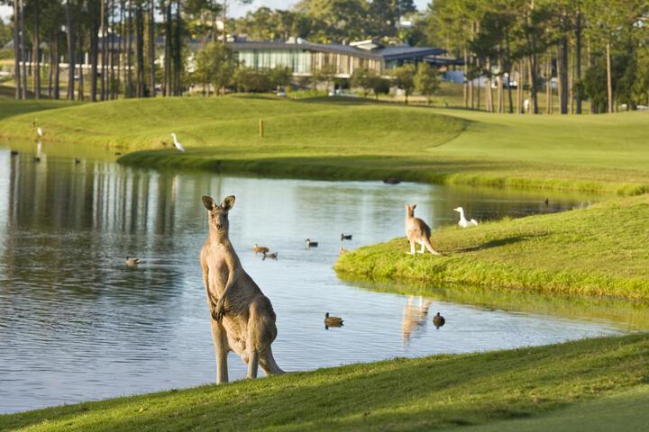 Golf 2 of 5