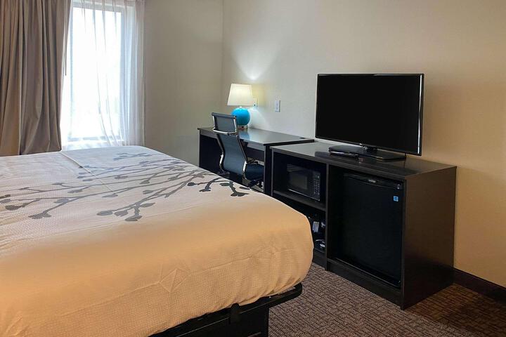 1 King Bed (3 of 9)