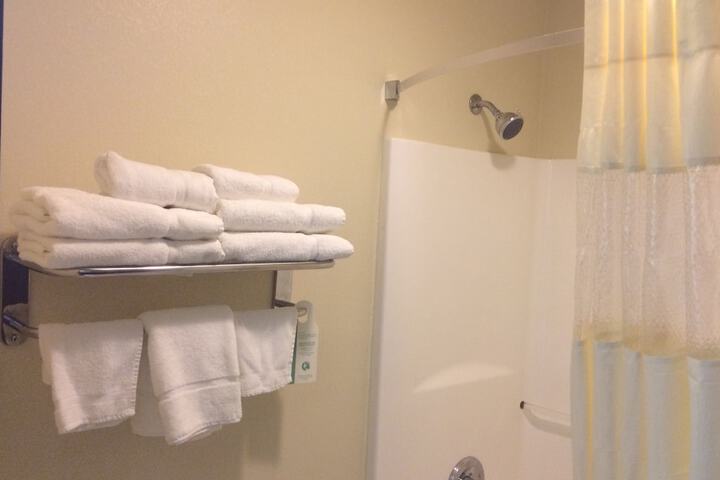Bathroom shower