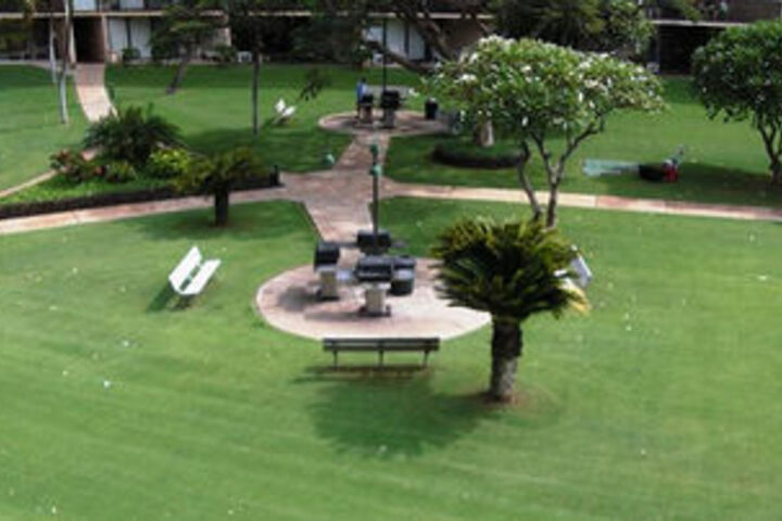 Property Grounds 9 of 55