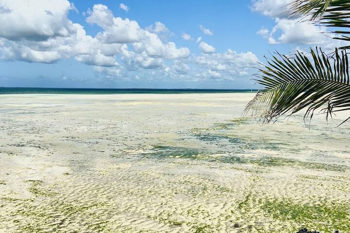 Beach 95 of 113