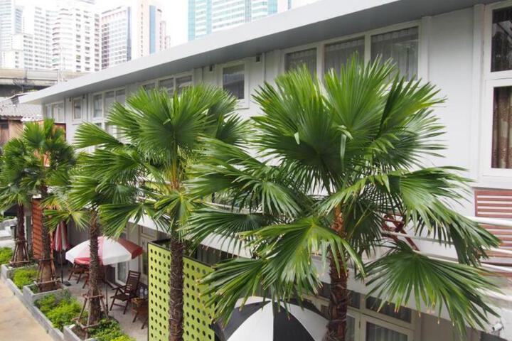 Photo 26