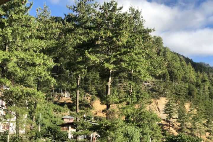 Outdoor Activities 19 of 26