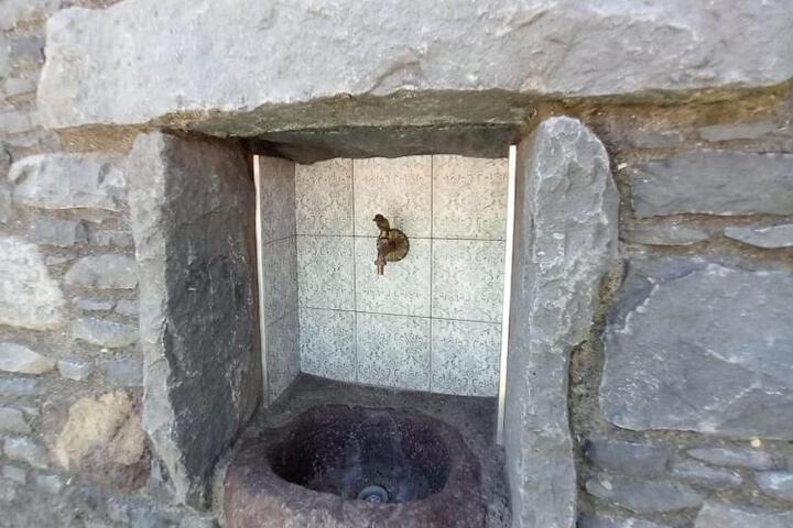 General 36 of 47