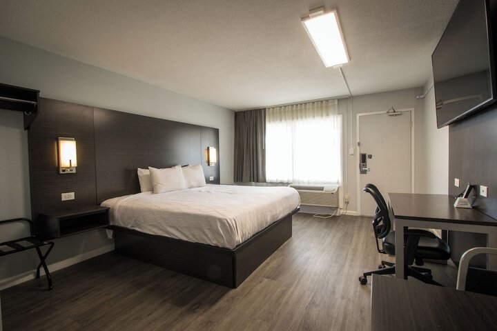 1 King Bed Pet Friendly Accessible (13 of 90)
