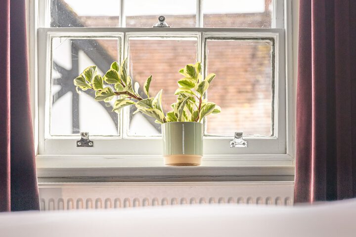 Room 2 of 65