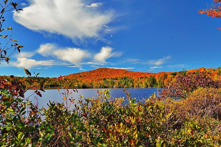 Lake