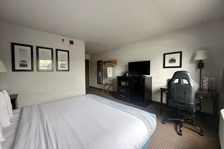 1 King Bed Mobility Accessible (9 of 40)