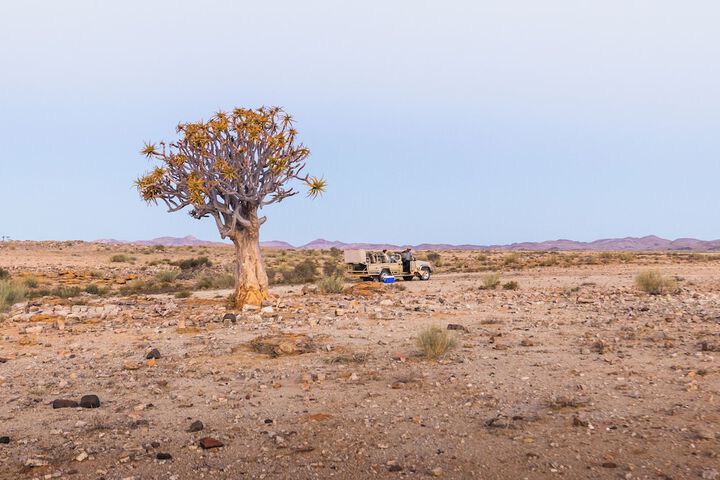 Safari