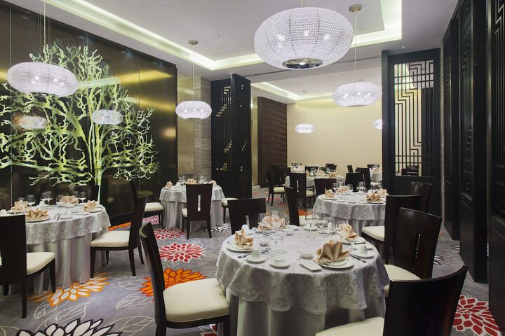 Dining 62 of 89