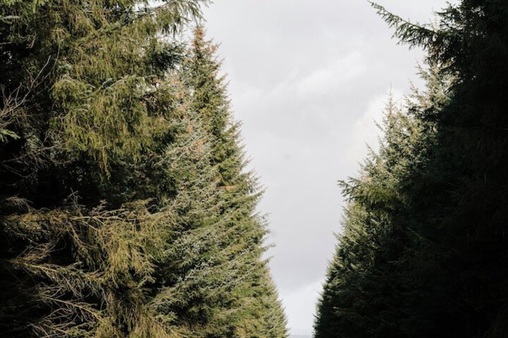 Outdoor Activities 96 of 126