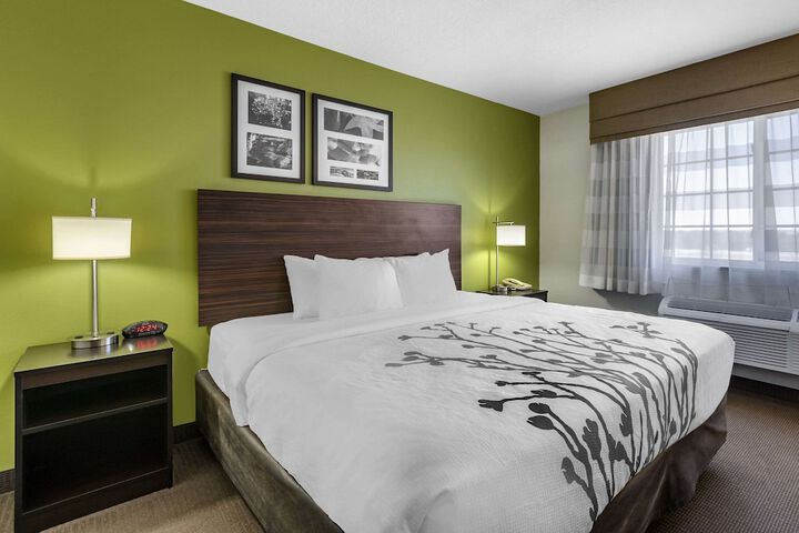 1 King Bed (11 of 50)