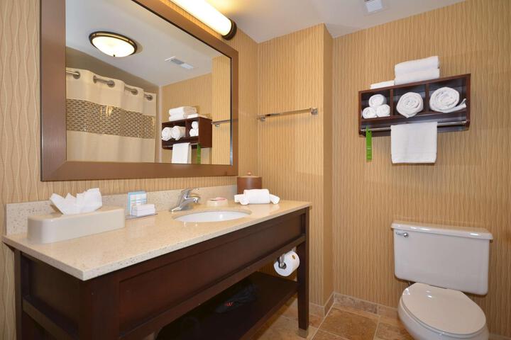 1 King Mobility Accessible with 3x3 Shower (2 of 11)
