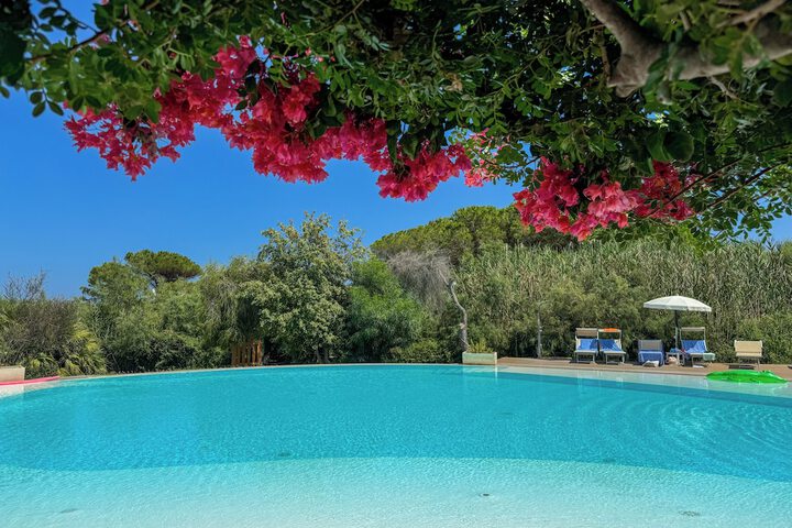 Pool 54 of 113