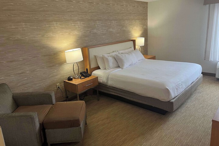 1 King Bed Accessible (1 of 15)
