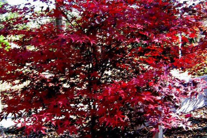 Property Grounds 15 of 19