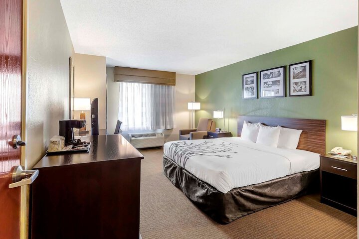 1 King Bed (1 of 8)