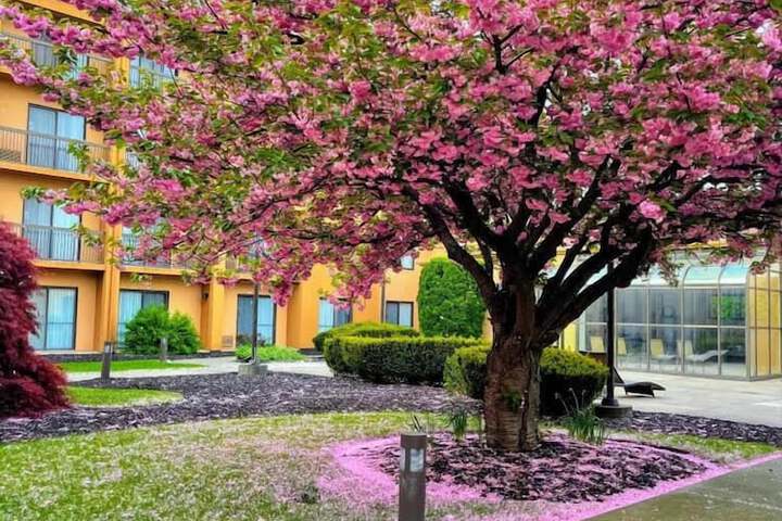 Courtyard