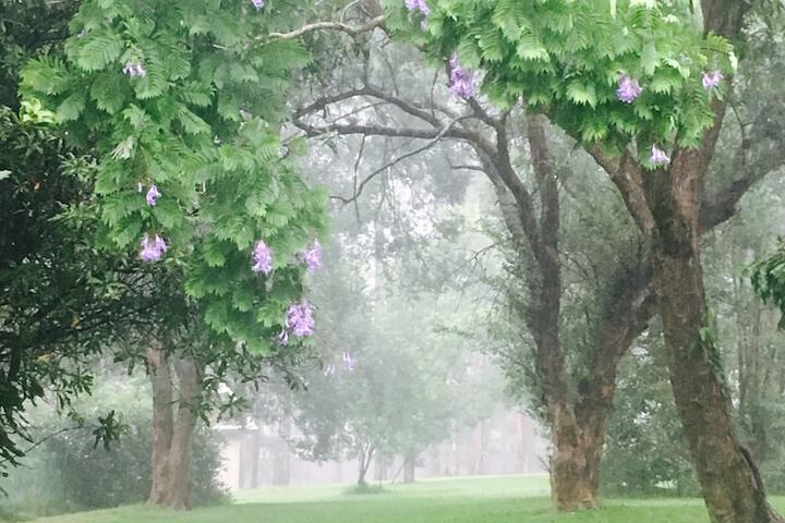 Hotel Exterior 41 of 46