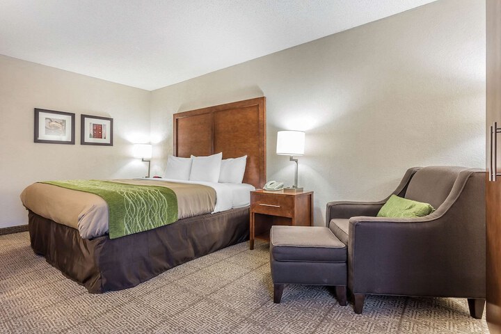 Standard | King Bed (9 of 11)