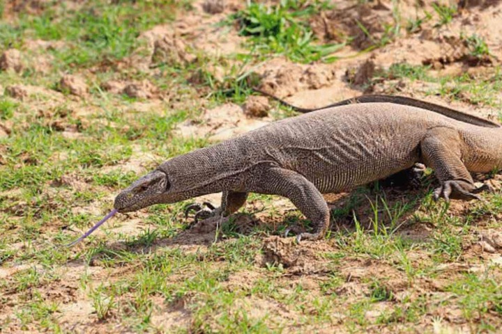 General 18 of 33