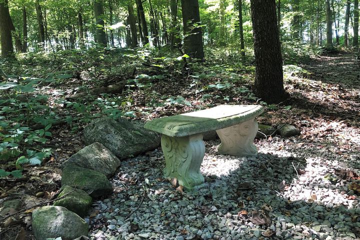 Outdoor Activities 288 of 345