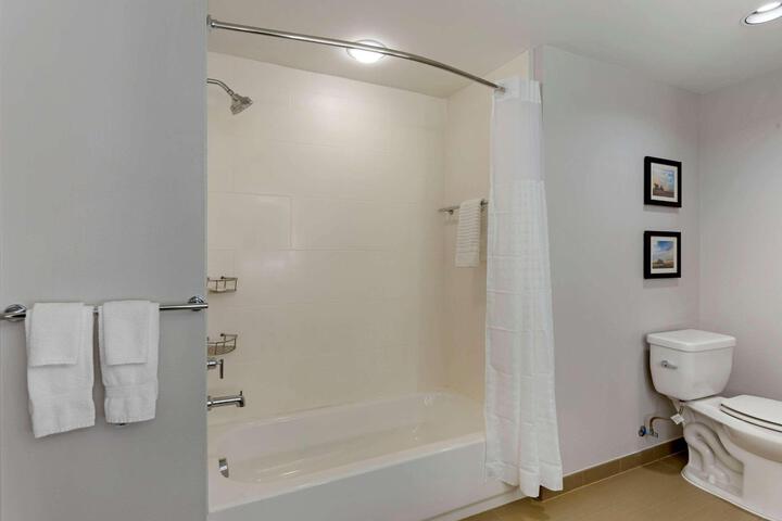 1 King Bed Bathtub Accessible (22 of 24)